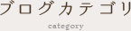 ブログカテゴリ